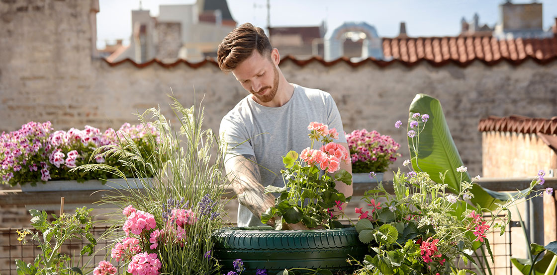 Riprogettare il panorama urbano: Biodiversity B’lab Day | Piergallini